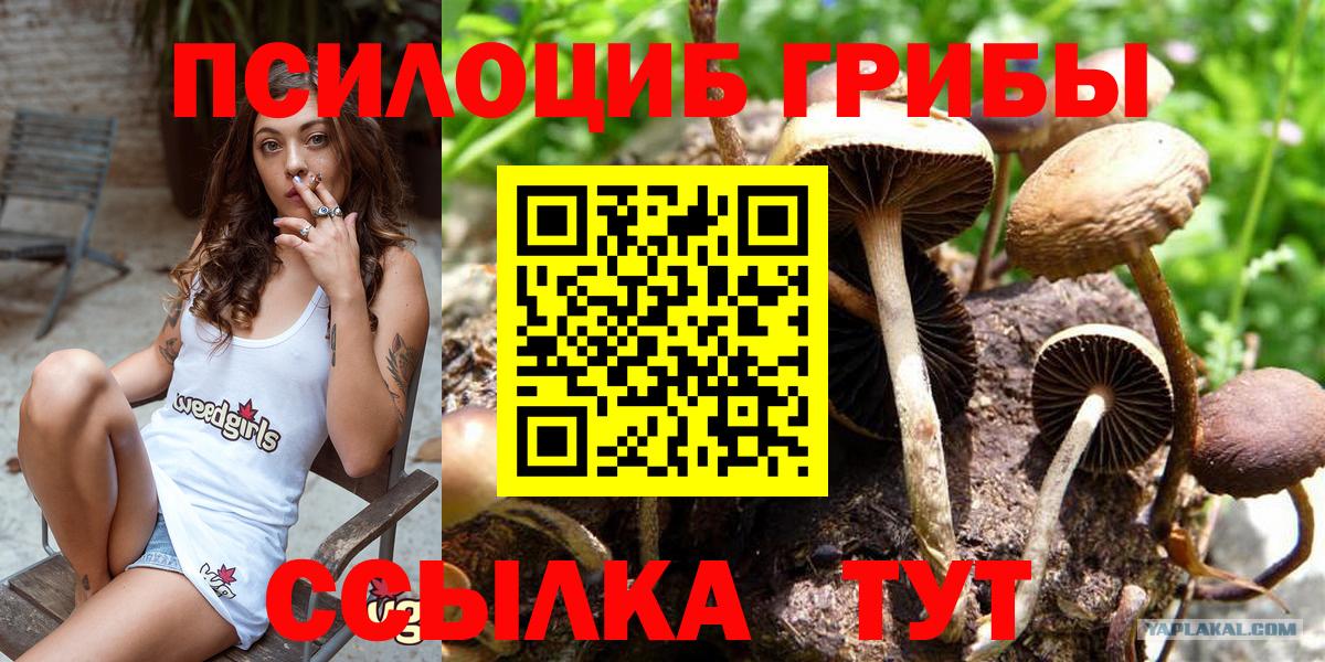 Назарово  Галлюциногенные грибы Magic Shrooms  Галлюциногенные грибы Psilocybe  Вход с VPN 